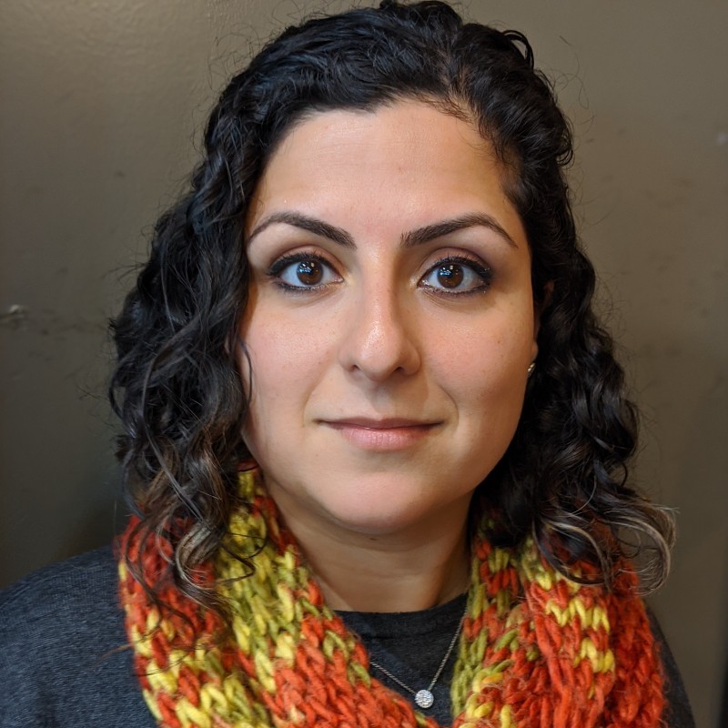 Dr. Farnaz Heidar-Zadeh